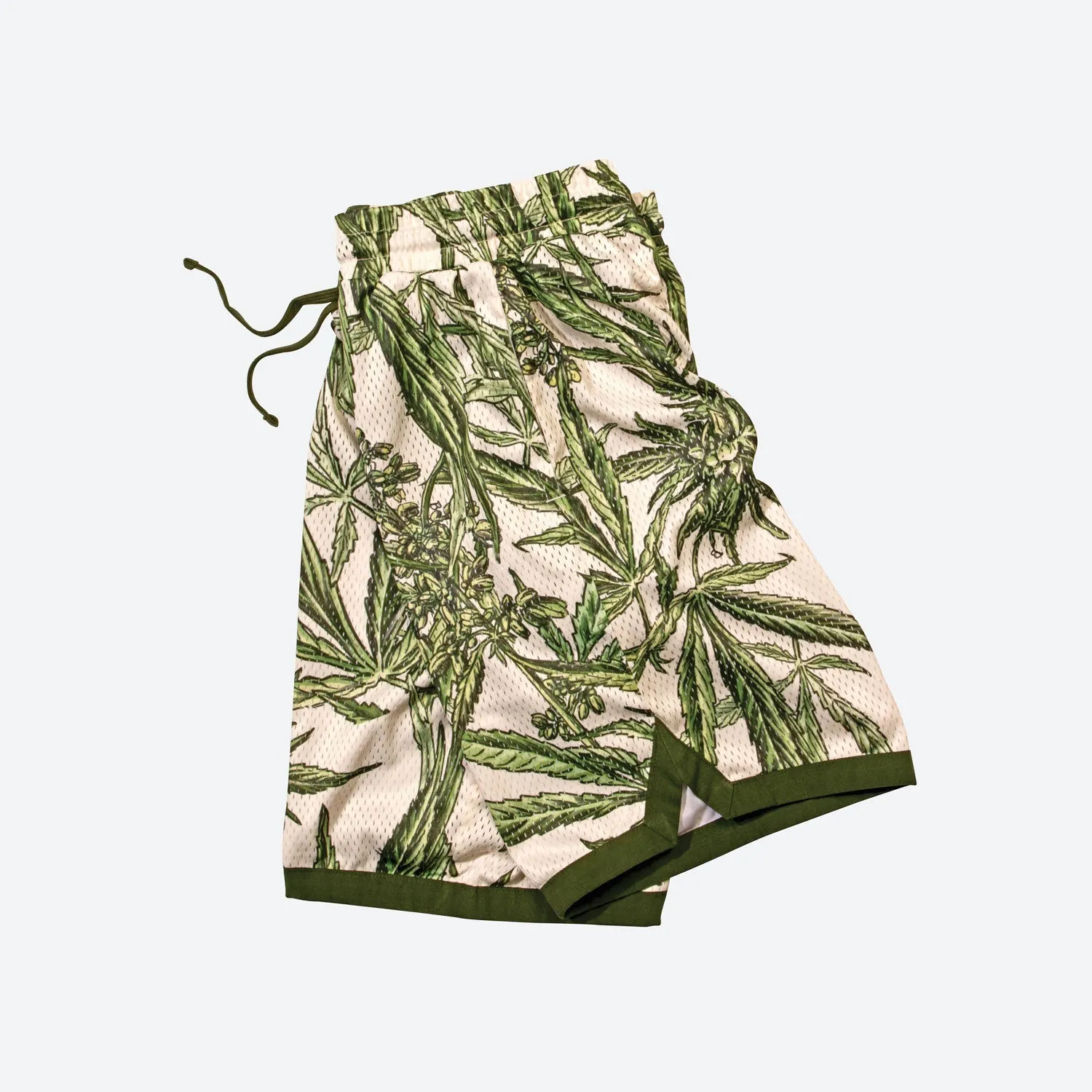Botany Jersey Shorts